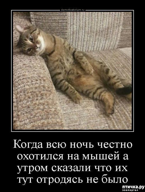 ���� 13: �����������!