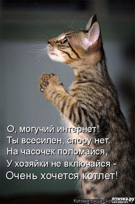 ���� 16: �����������!