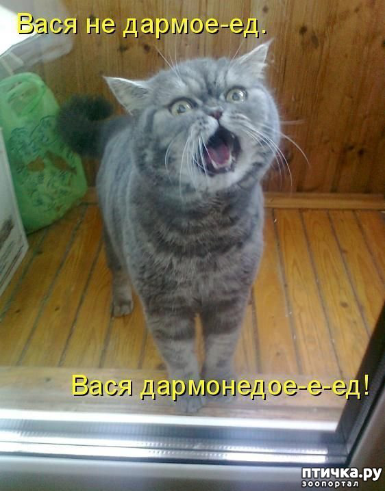 ���� 17: �����������!