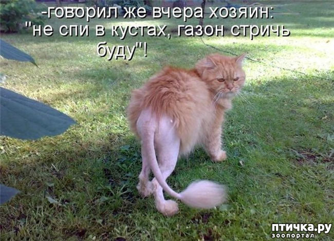 ���� 12: �����������!