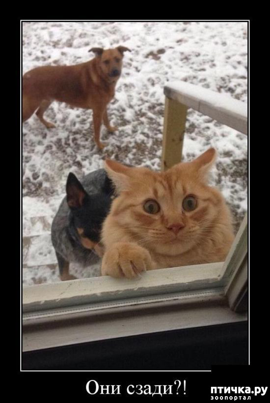 ���� 15: �����������!