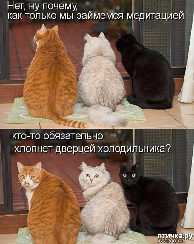 ���� 22: �����������!