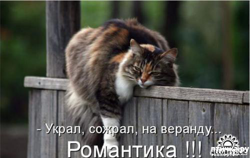 ���� 26: �����������!