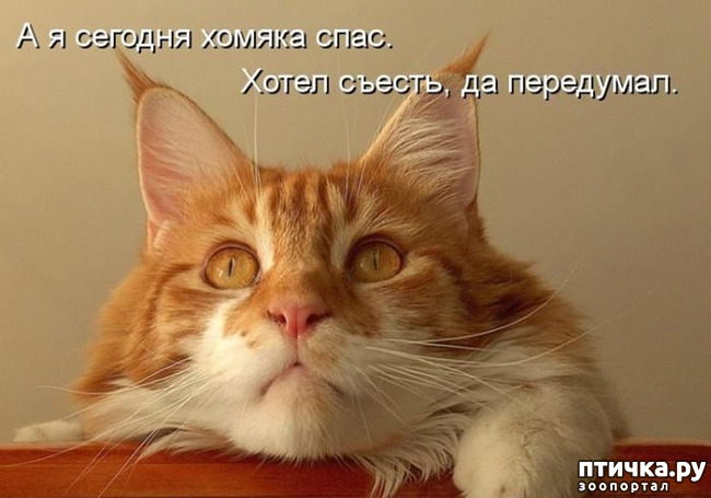 ���� 20: �����������!