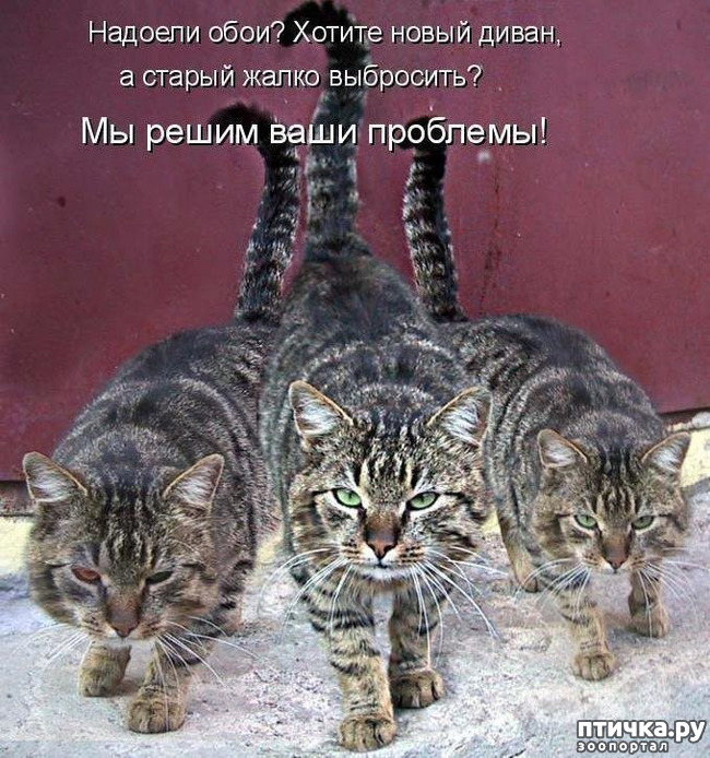 ���� 24: �����������!