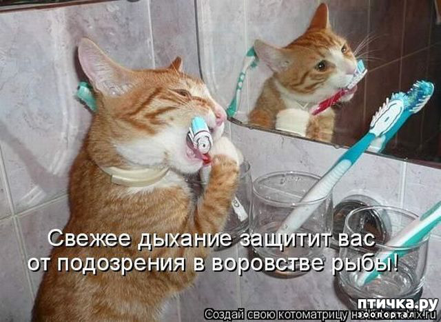 ���� 34: �����������!