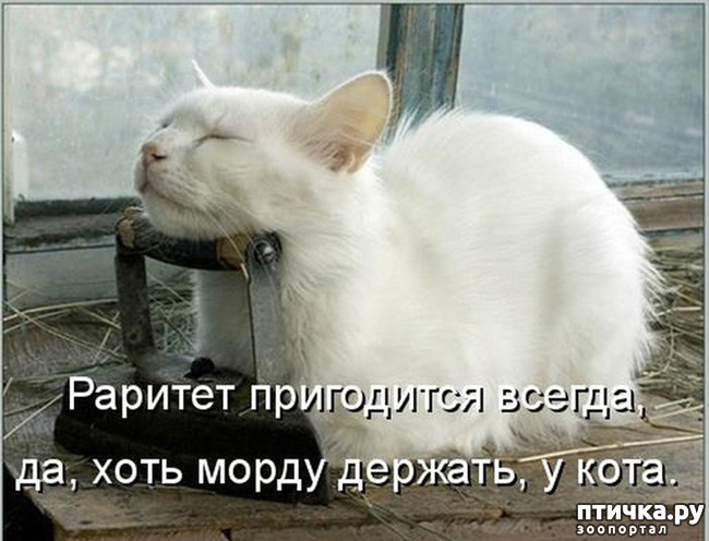 ���� 21: �����������!