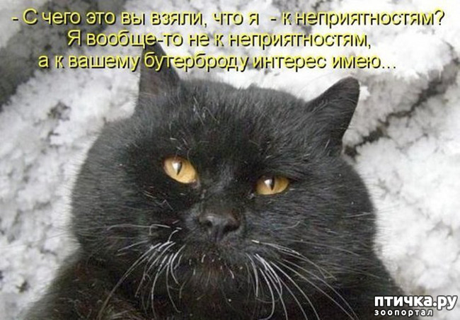 ���� 30: �����������!