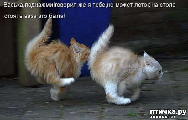 ���� 23: �����������!