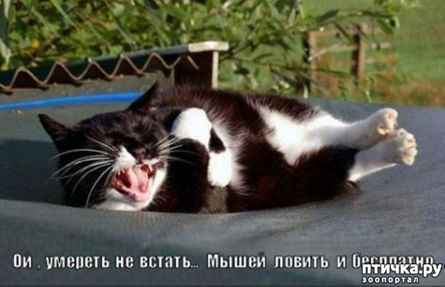 ���� 32: �����������!