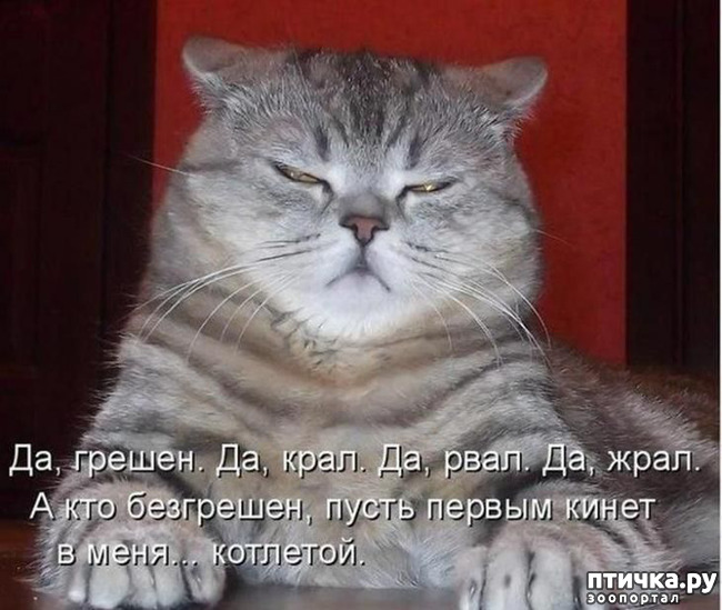 ���� 27: �����������!