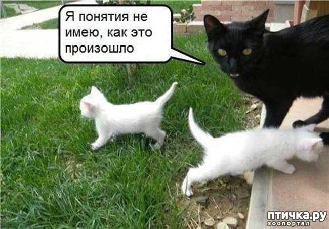 ���� 33: �����������!