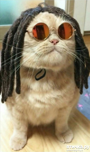 ����: �����������!