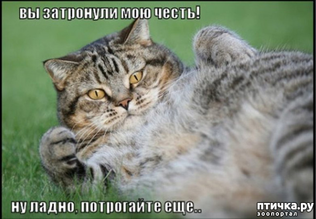 ���� 31: �����������!