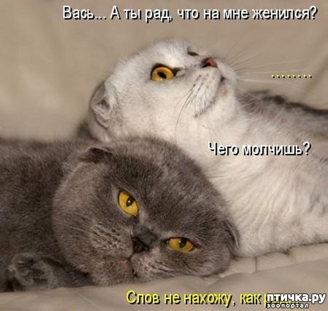 ���� 25: �����������!