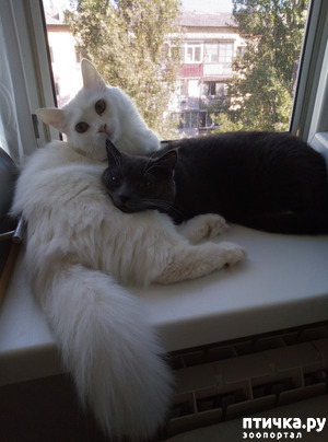 ����: ������ �������������� ��� �������� ������ ����� �� ����� ��� ��������?