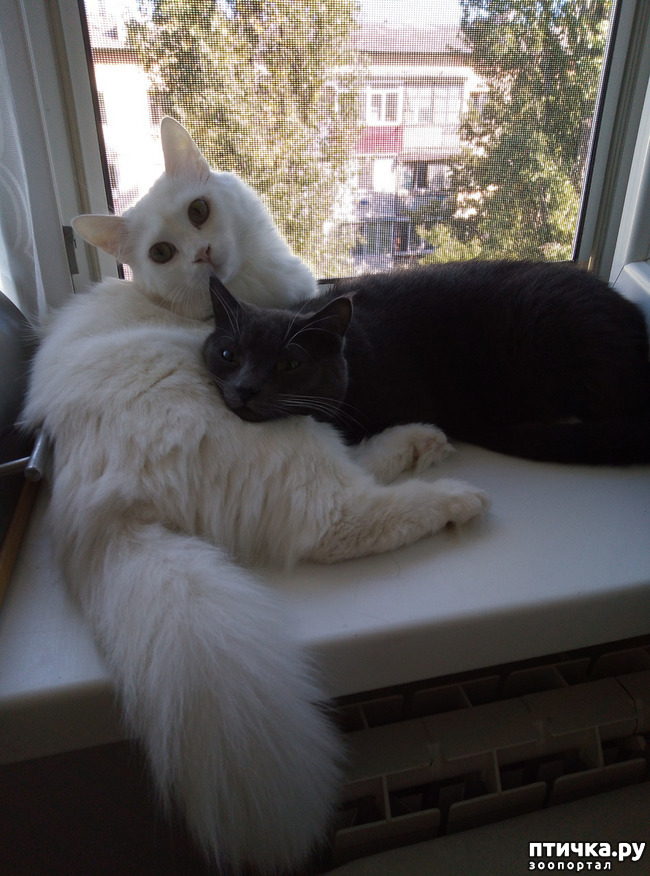 ���� 1: ������ �������������� ��� �������� ������ ����� �� ����� ��� ��������?