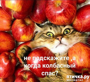 фотография: Немного юмора фото: Немного юмора