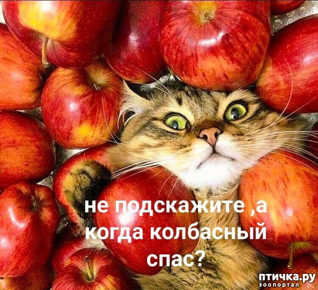 ���� 1: ������� �����