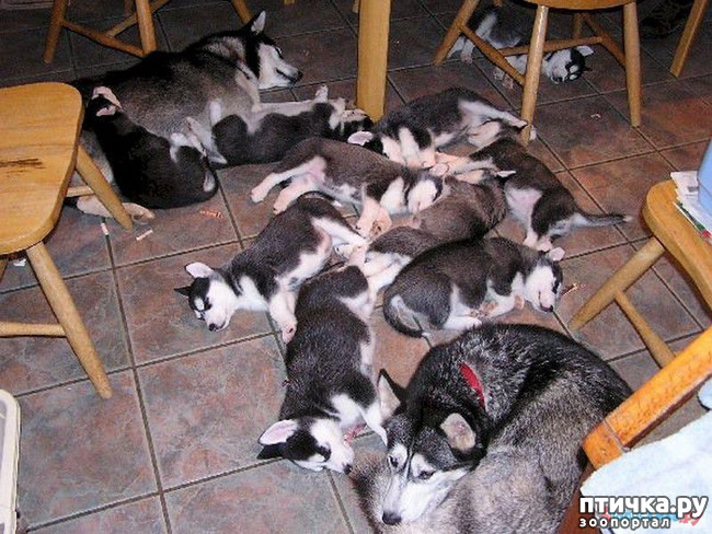 ���� 1: ��������� ����, ������!!!