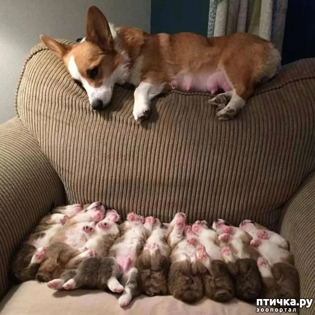 ���� 3: ��������� ����, ������!!!