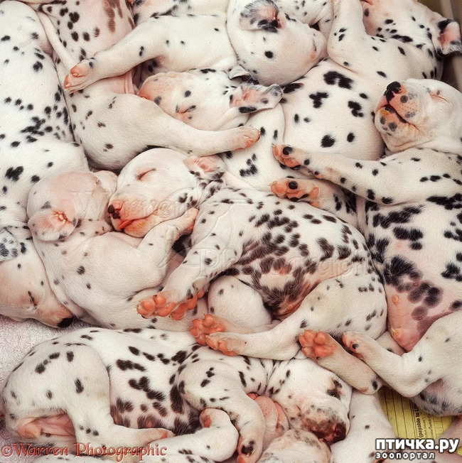 ���� 4: ��������� ����, ������!!!