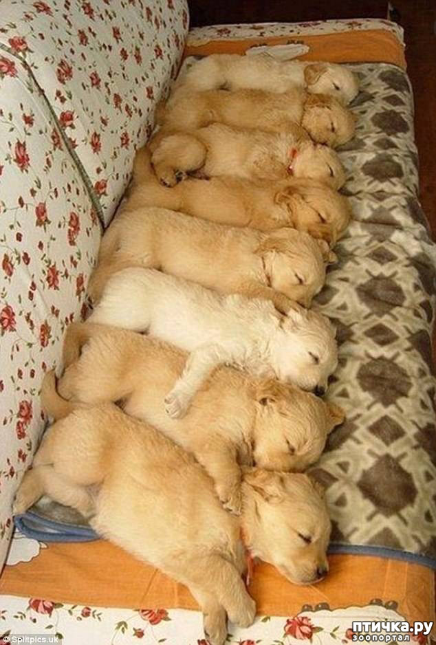 ���� 6: ��������� ����, ������!!!