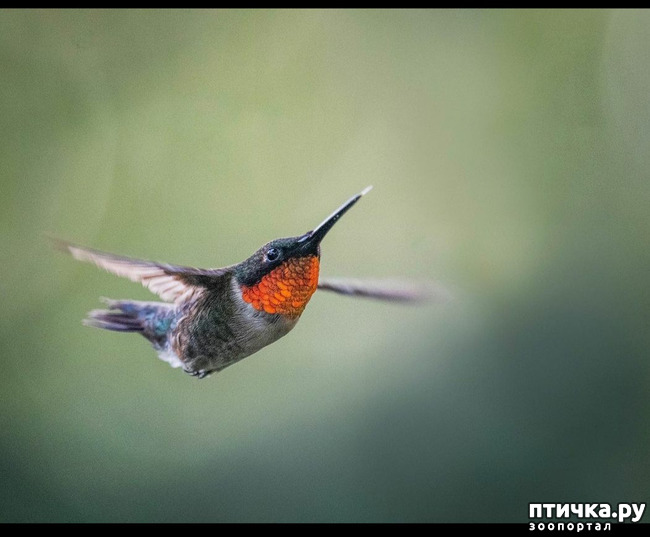 ���� 1: ����, ���, ����!