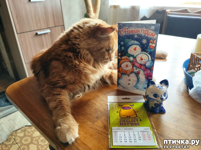 ���� 2: ��� �������