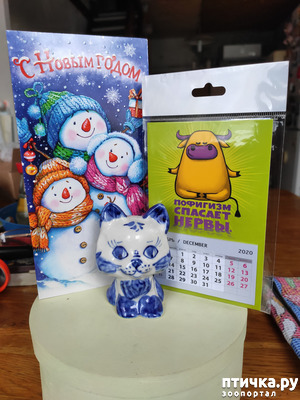 ����: ��� �������