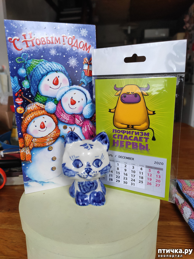 ���� 1: ��� �������