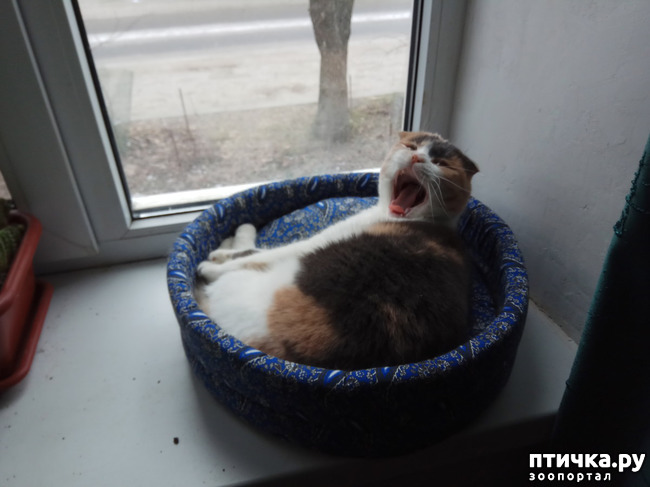 ���� 1: � ���� ����� ������� ����� ������ ����� ��������?