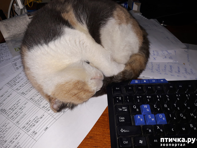 ���� 2: � ���� ����� ������� ����� ������ ����� ��������?