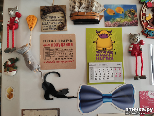 ���� 6: ��� �������