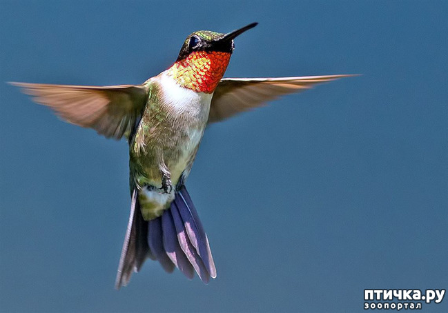 ���� 3: ����, ���, ����!