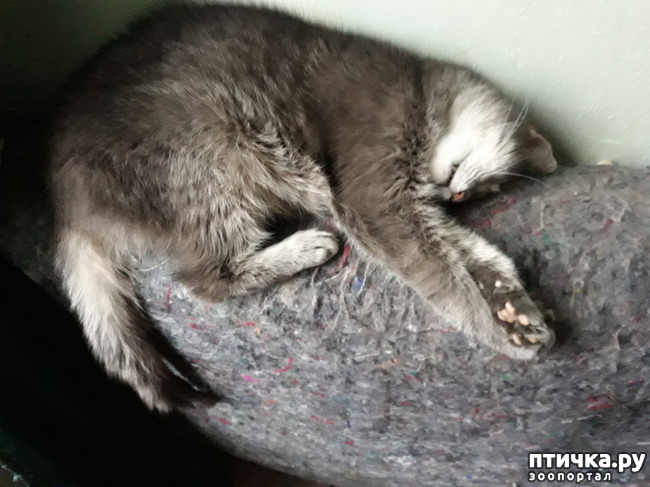 ���� 3: � ���� ����� ������� ����� ������ ����� ��������?