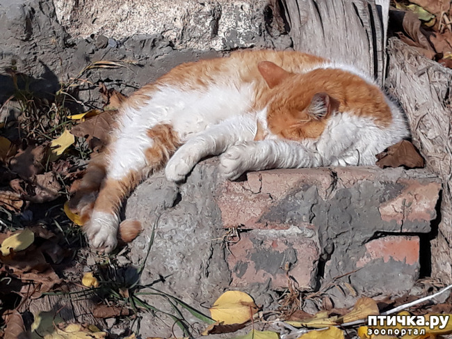 ���� 5: � ���� ����� ������� ����� ������ ����� ��������?