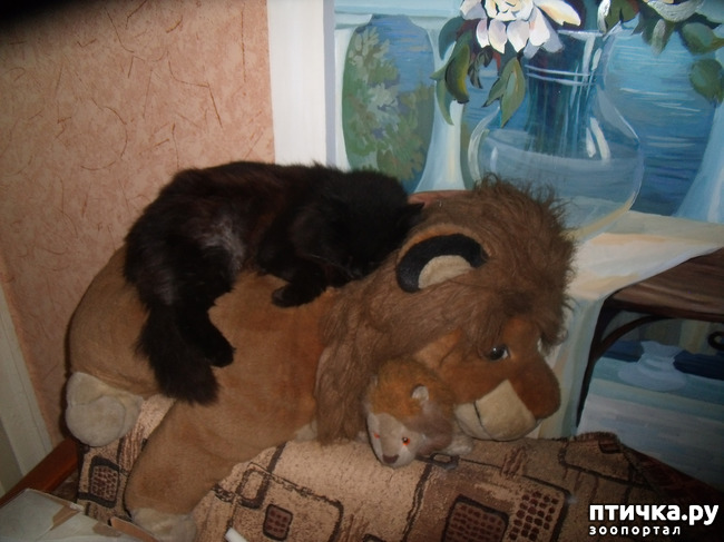 ���� 6: � ���� ����� ������� ����� ������ ����� ��������?