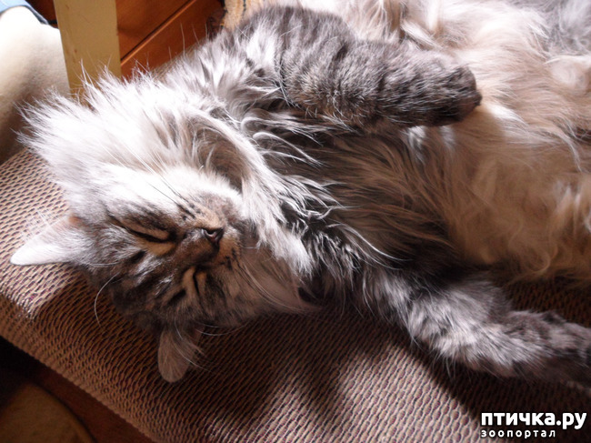 ���� 7: � ���� ����� ������� ����� ������ ����� ��������?