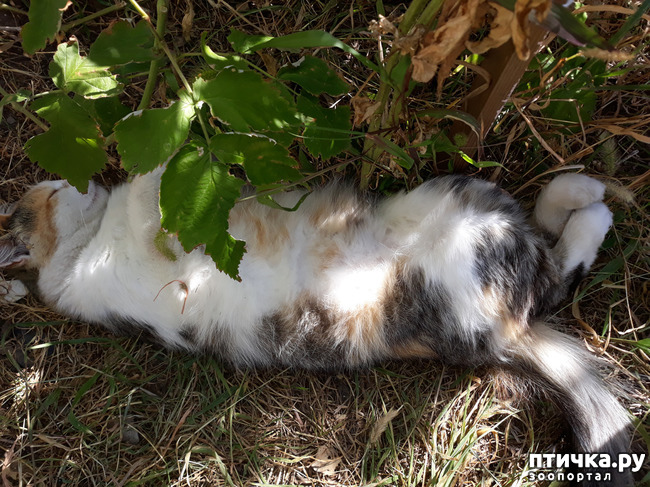 ���� 8: � ���� ����� ������� ����� ������ ����� ��������?