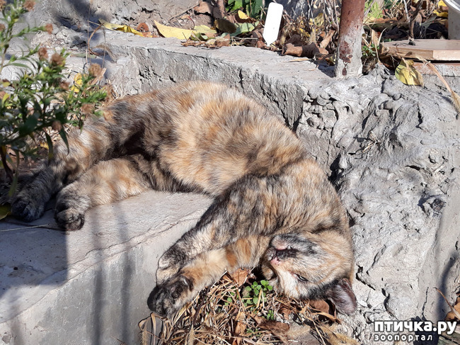 ���� 9: � ���� ����� ������� ����� ������ ����� ��������?