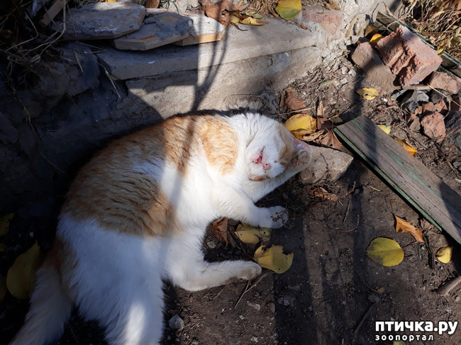 ���� 10: � ���� ����� ������� ����� ������ ����� ��������?