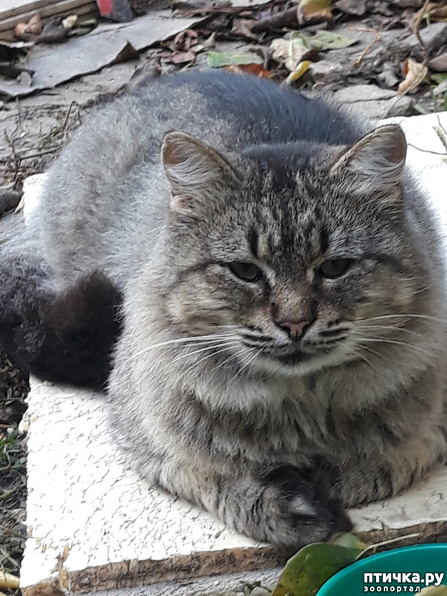 ���� 11: � ���� ����� ������� ����� ������ ����� ��������?