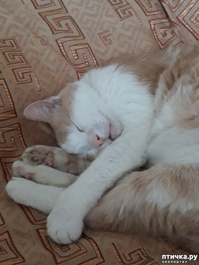 ���� 12: � ���� ����� ������� ����� ������ ����� ��������?