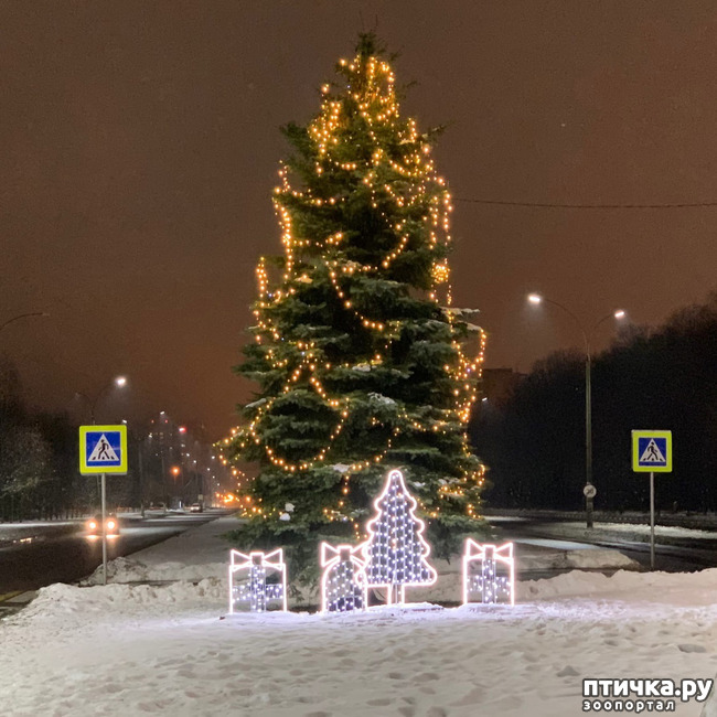 ���� 2: �������������� �������.