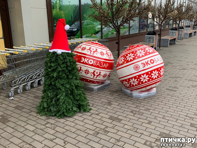 ���� 3: �������������� �������.