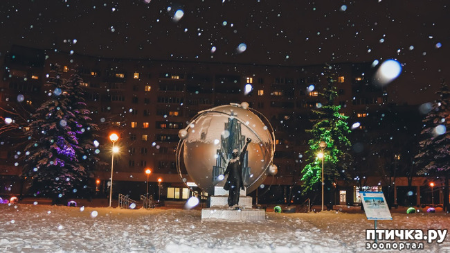 ���� 4: �������������� �������.