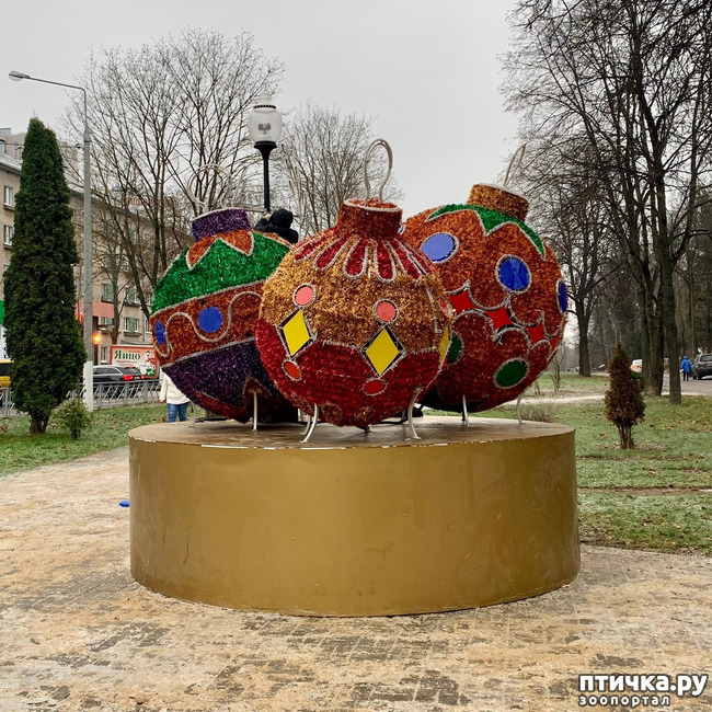 ���� 5: �������������� �������.