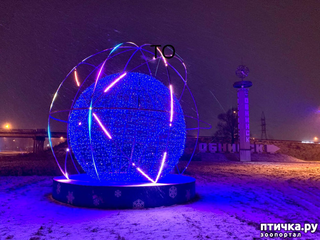 ���� 6: �������������� �������.