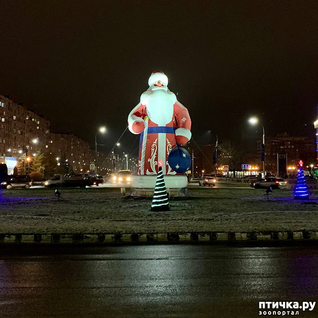 ���� 7: �������������� �������.